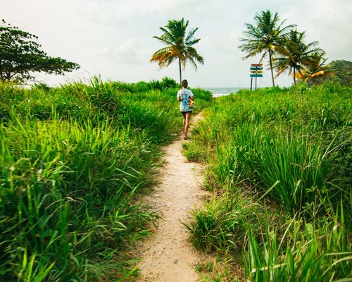 walking path near the sea in the Caribbean coast